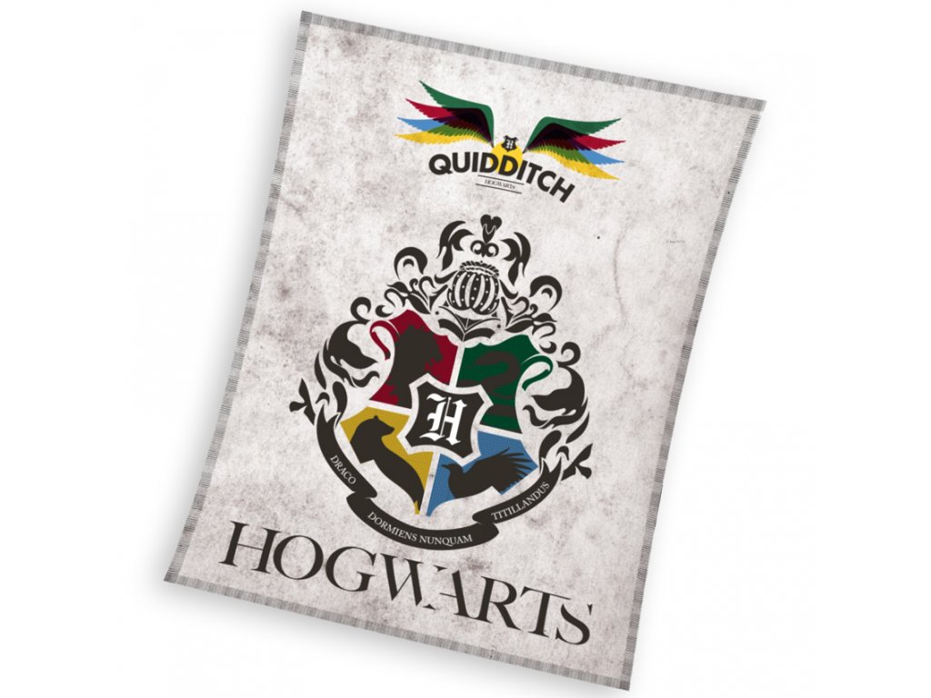 Dětská deka Harry Potter Famfrpál 130x170 cm bílá-šedá